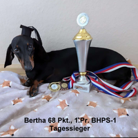 Bertha BHP-1 = 1.Pr., BHPS-1 = 1.Pr. Tagessieger